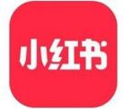 深圳網絡營銷,小紅書排名筆記要義-樂云seo
